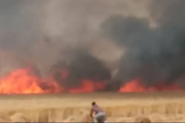 फतेहपुर:खेतों में लगी भीषण आग से कई बीघे गेहूं की फ़सल जलकर ख़ाक हो गई.!