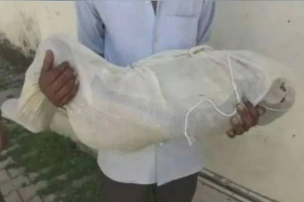 हैवानियत: छः साल की बच्ची को पहले दरिंदे ने मार दिया फ़िर शव के साथ रेप किया..!