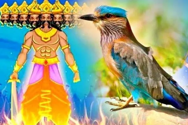 अध्यात्म:राम ने इस पक्षी के दर्शन के बाद ही रावण पर विजय प्राप्त की थी..देखने मात्र से ही बनते हैं बिगड़े काम.!