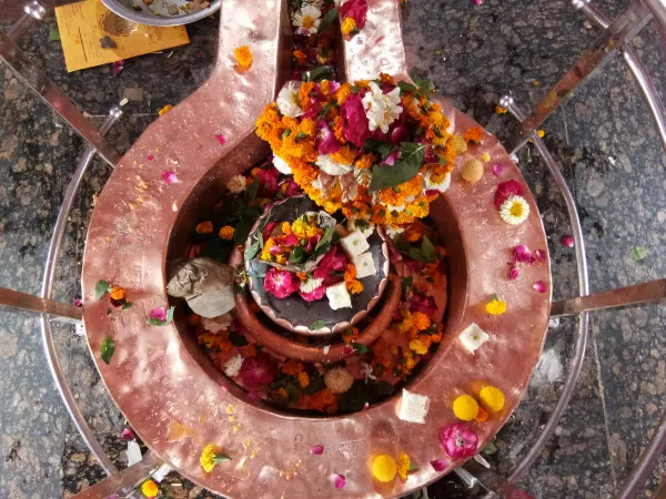 Mahashivratri Puja 2021: महाशिवरात्रि पर शिवलिंग पर भूल से न चढ़ाएं ये चीज..जाने शुभ मुहूर्त।