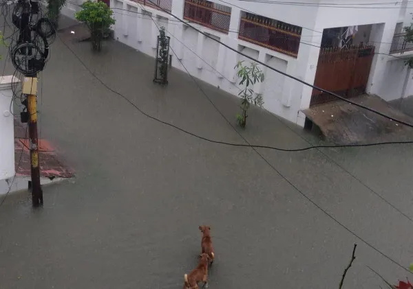 UP School College Closed News:भारी बारिश के चलते प्रदेश के सभी स्कूल कॉलेजों में छुट्टी