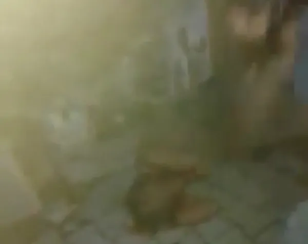 Firozabad Murder Viral Video:चार बहनों ने लाठी डंडों से पीटकर कर दी युवक की हत्या दिल दहला देने वाला है वीडियो