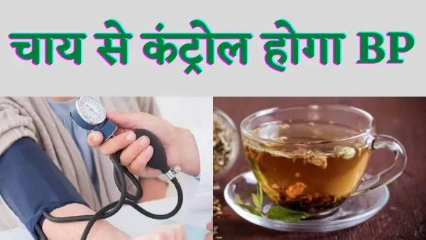 Bp Contorl Tipps In Hindi : हाई ब्लडप्रेशर कंट्रोल में कारगर होती है यह चाय आप भी जान लें
