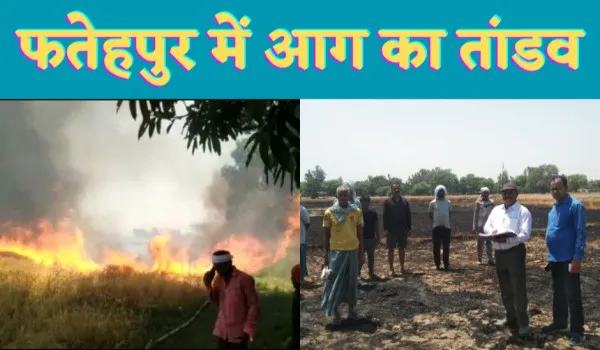 Fatehpur Bindki News : फतेहपुर में शॉर्ट सर्किट से जले गेंहू के 60 बीघे खेत
