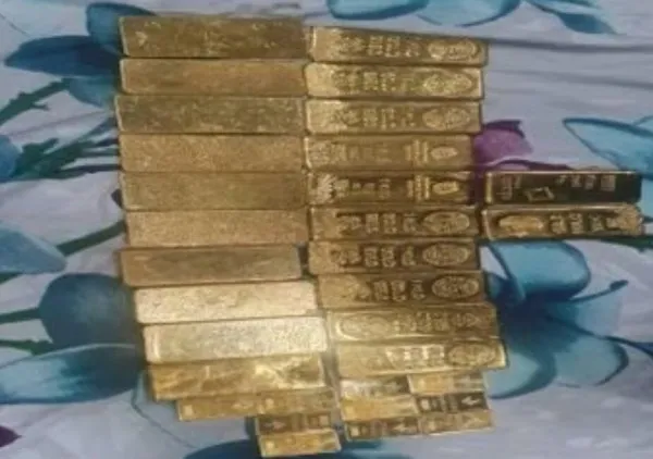 Kanpur Piyush Jain : इत्र कारोबारी पीयूष जैन की बढ़ी मुश्किलें, 23 किलोग्राम सोना जब्त, लगी 60 लाख की पेनाल्टी,जानिए