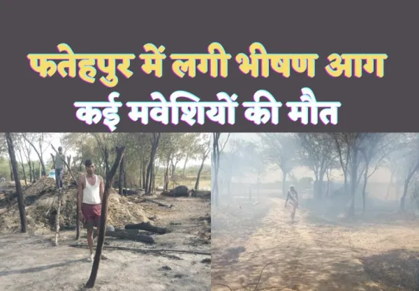 Fatehpur Fire News : फतेहपुर में लगी भीषण आग लाखों का सामान जलकर खाक,कई मवेशी जलकर मरे