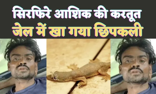 Kanpur Crime : अजीबोगरीब मामला ! सिरफिरा आशिक लॉकअप में निगल गया छिपकली