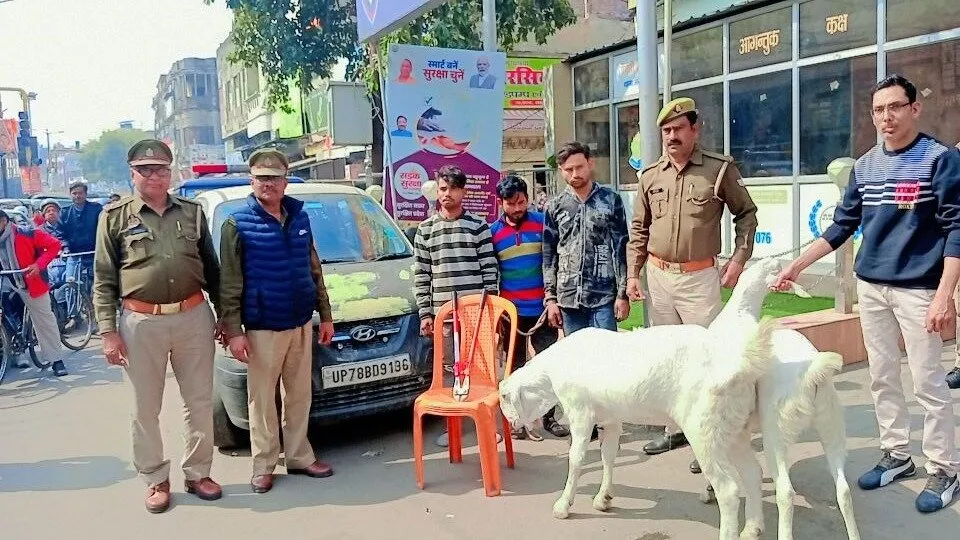 strange_case_goat_theft_in_kanpur