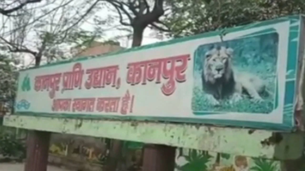 Kanpur Zoo News: भीषण गर्मी से बचाव के लिए कानपुर प्राणि उद्यान ने किए विशेष इंतजाम ! बाड़ों में कूलर व अन्य बाड़ों में लगाये गए वाटर स्प्रिंक्लर 
