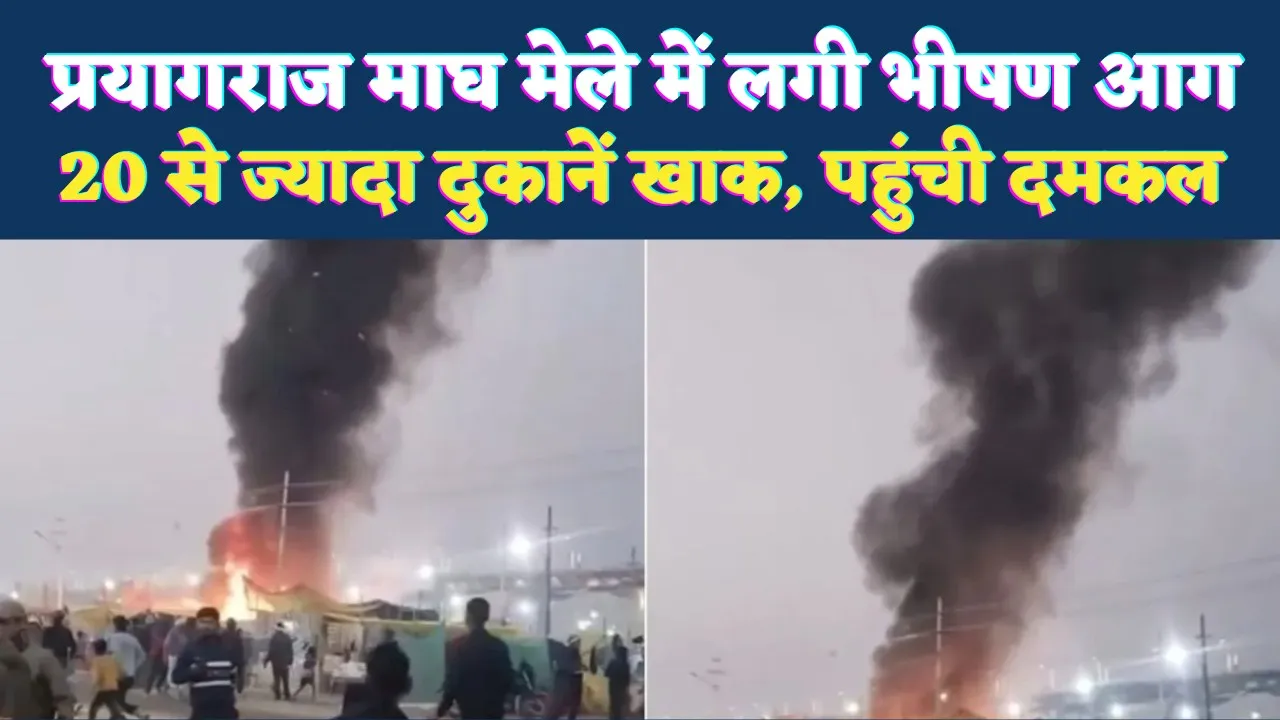 Prayagraj Magh Mela Fire: प्रयागराज के माघ मेले में लगी भीषण आग, 20 से ज्यादा दुकानें जलकर खाक, बड़ी संख्या में पहुंची दमकल गाड़ियां