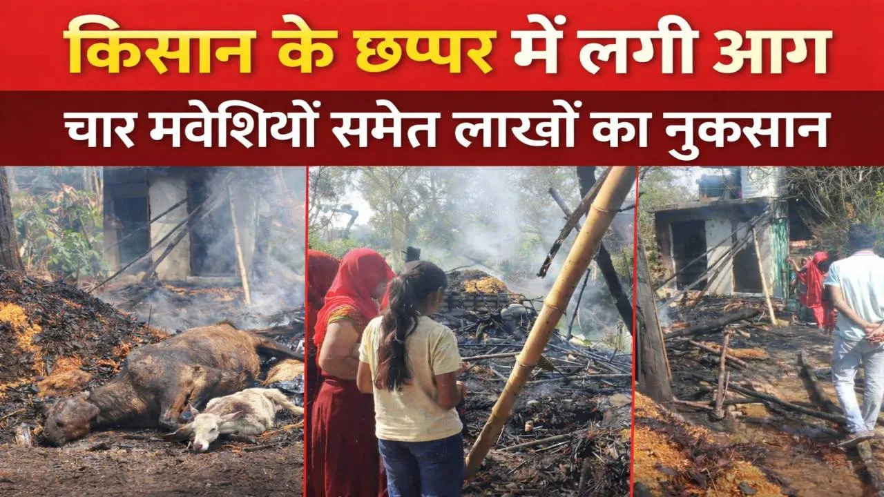 फतेहपुर में शॉर्ट सर्किट से लगी भीषण आग: छप्पर बना आग का गोला ! चार बकरियां जिंदा जलीं, बाइक-धान समेत लाखों का नुकसान