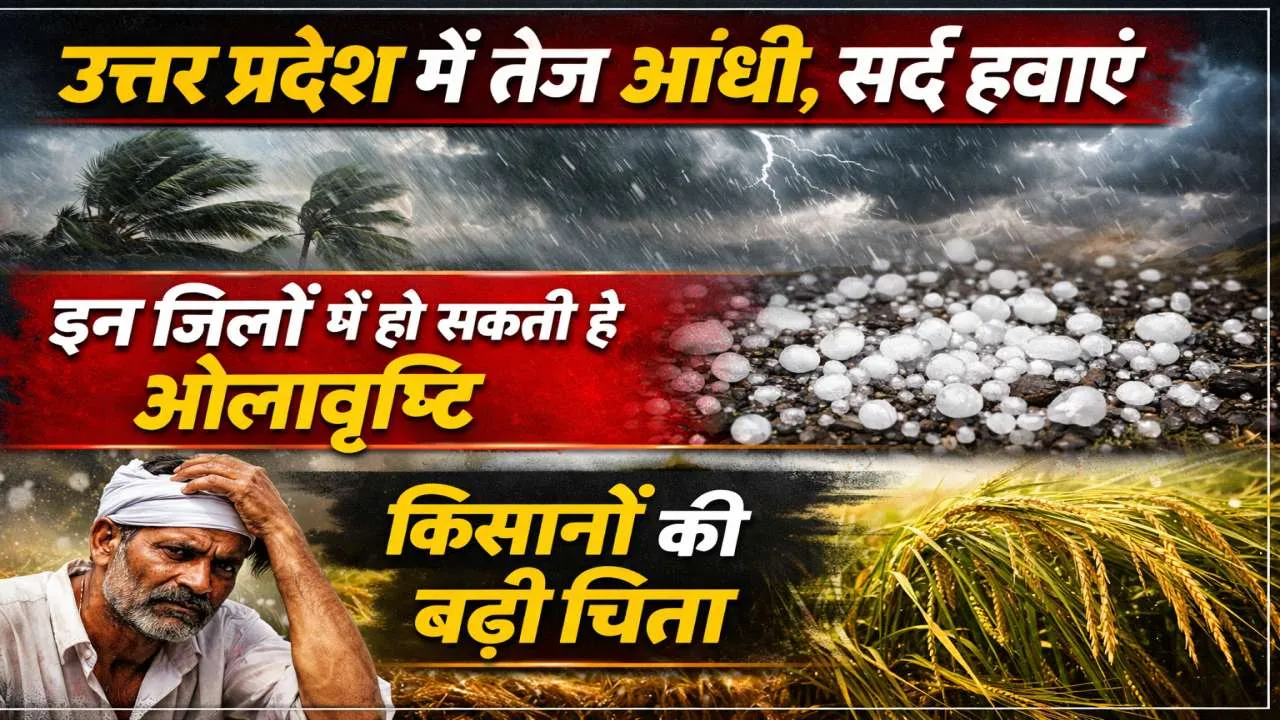 Uttar Pradesh Mausam: उत्तर प्रदेश में बदला मौसम का मिजाज ! तेज आंधी-बारिश से राहत, 10 जिलों में ओलावृष्टि की चेतावनी