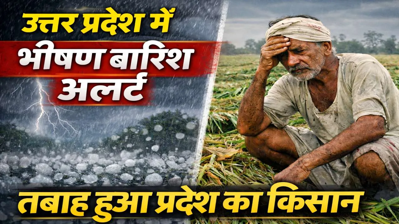 उत्तर प्रदेश में मौसम का कहर: 50 जिलों में भारी बारिश, आंधी और ओलावृष्टि का अलर्ट, किसानों की फसल बर्बाद