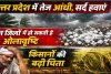 Uttar Pradesh Mausam: उत्तर प्रदेश में बदला मौसम का मिजाज ! तेज आंधी-बारिश से राहत, 10 जिलों में ओलावृष्टि की चेतावनी