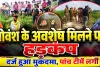 Fatehpur News: फतेहपुर में गोवंश के अवशेष मिलने से मचा हड़कंप, पांच पुलिस टीमें गठित, आरोपियों की तलाश तेज