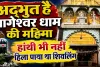 Jageshwar Temple History: अद्भुत है जागेश्वर धाम की महिमा ! हाथी भी नहीं हिला पाया था शिवलिंग, जानिए क्या है इसका इतिहास