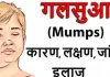 Mumps Disease Outbreak News: बच्चों में पाई जाने वाली ये बीमारी है बेहद खतरनाक ! समय रहते नहीं करवाया इलाज तो बढ़ सकती है मुश्किलें
