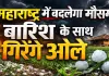 महाराष्ट्र में बदलेगा मौसम का मिजाज: बारिश और ओलावृष्टि का अलर्ट, सावधान रहें किसान