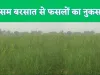 Fatehpur Mausam News : फतेहपुर में बेमौसम बरसात ने किसानों की चिंता बढ़ाई