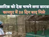 Arif Meet Saras Kanpur Zoo : कानपुर में 28 दिन बाद आरिफ को देख खुशी से उछल पड़ा सारस