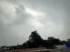 UP Weather Alert: उत्तर प्रदेश में बन रहे बारिश के आसार ! प्रदेश में कई जगह सुबह से छाए हुए हैं बादल, जानिए IMD की चेतावनी