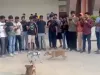 IIT Kanpur Robotic Dog Video: असल ना होकर भी हरकतें असली ! आईआईटी कानपुर द्वारा इजाद किये गए इस रोबोटिक डॉग के दीवाने हुए सब