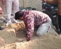 Kanpur News In Hindi: बन्दर की हत्या पर मचा हंगामा ! पुलिस ने कब्र खुदवाकर शव को पोस्टमार्टम के लिए भेजा