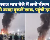 Prayagraj Magh Mela Fire: प्रयागराज के माघ मेले में लगी भीषण आग, 20 से ज्यादा दुकानें जलकर खाक, बड़ी संख्या में पहुंची दमकल गाड़ियां