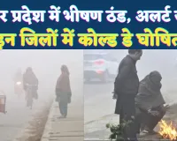 UP Weather Update: उत्तर प्रदेश में हाड़ कंपाने वाली ठंड और घना कोहरा, कई जिलों में कोल्ड डे का अलर्ट जारी