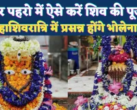 Mahashivratri 2026: महाशिवरात्रि पर ऐसे करें शिव-पार्वती की पूजा, भोलेनाथ स्वयं हर लेंगे जीवन के सभी कष्ट