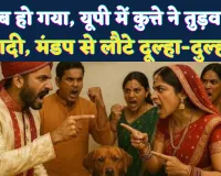 फेरे से पहले भौंक उठा विवाद! फतेहपुर में कुत्ते की एंट्री से टूटी शादी, मैरिज हॉल बना अखाड़ा