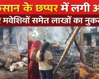 फतेहपुर में शॉर्ट सर्किट से लगी भीषण आग: छप्पर बना आग का गोला ! चार बकरियां जिंदा जलीं, बाइक-धान समेत लाखों का नुकसान