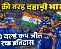 India Won T20 World Cup: फाइनल में शेर बनी टीम इंडिया, न्यूजीलैंड को 96 रन से हराकर तीसरी बार बना वर्ल्ड चैंपियन