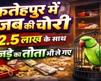 Uttar Pradesh: फतेहपुर में अनोखी चोरी ! जेवर-नकदी के साथ पिंजरे समेत तोता भी ले गए चोर, पुलिस भी हैरान