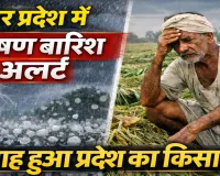उत्तर प्रदेश में मौसम का कहर: 50 जिलों में भारी बारिश, आंधी और ओलावृष्टि का अलर्ट, किसानों की फसल बर्बाद