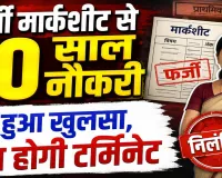 फर्जी मार्कशीट के सहारे 10 साल तक बनी रहीं टीचर, STF जांच में खुला खेल, फतेहपुर BSA ने किया सस्पेंड