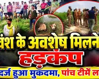 Fatehpur News: फतेहपुर में गोवंश के अवशेष मिलने से मचा हड़कंप, पांच पुलिस टीमें गठित, आरोपियों की तलाश तेज