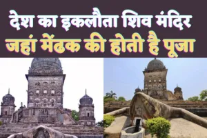 Lakhimpur Kheri Frog Temple: देश के इस इकलौते मन्दिर में मेंढक की होती है पूजा ! पीठ पर विराजमान है शिवजी, जानिए पौराणिक महत्व