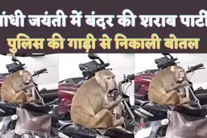 Kanpur Monkey News: ड्राई डे के दिन कौन लेकर घूम रहा है शराब ! इस बेजुबान बंदर ने पुलिस ऑफिस में खोला राज, देखें वीडियो