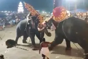 Kerala Elephants Arattupuzha Video: केरल में मेले के दौरान भिड़ गए आपस में दो हाथी ! मेले में मची भगदड़, वीडियो हुआ वायरल