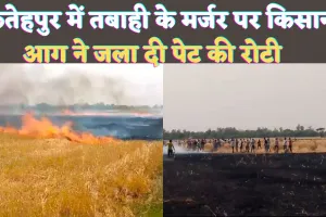 Fatehpur Fire News: तबाही के मंज़र पर फतेहपुर के किसान ! प्रशासनिक अव्यवस्थाओं ने छीन ली पेट की रोटी