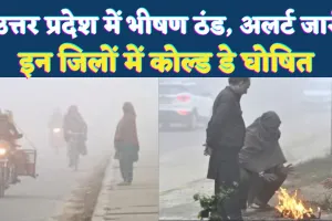 UP Weather Update: उत्तर प्रदेश में हाड़ कंपाने वाली ठंड और घना कोहरा, कई जिलों में कोल्ड डे का अलर्ट जारी