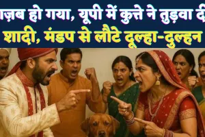 फेरे से पहले भौंक उठा विवाद! फतेहपुर में कुत्ते की एंट्री से टूटी शादी, मैरिज हॉल बना अखाड़ा