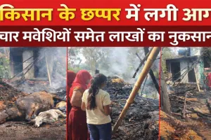 फतेहपुर में शॉर्ट सर्किट से लगी भीषण आग: छप्पर बना आग का गोला ! चार बकरियां जिंदा जलीं, बाइक-धान समेत लाखों का नुकसान