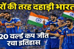 India Won T20 World Cup: फाइनल में शेर बनी टीम इंडिया, न्यूजीलैंड को 96 रन से हराकर तीसरी बार बना वर्ल्ड चैंपियन