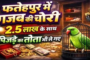 Uttar Pradesh: फतेहपुर में अनोखी चोरी ! जेवर-नकदी के साथ पिंजरे समेत तोता भी ले गए चोर, पुलिस भी हैरान
