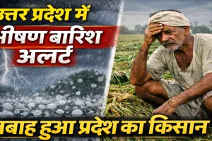 उत्तर प्रदेश में मौसम का कहर: 50 जिलों में भारी बारिश, आंधी और ओलावृष्टि का अलर्ट, किसानों की फसल बर्बाद