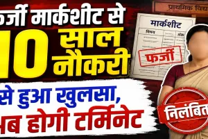 फर्जी मार्कशीट के सहारे 10 साल तक बनी रहीं टीचर, STF जांच में खुला खेल, फतेहपुर BSA ने किया सस्पेंड